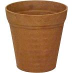 k Ray pot nachu-ru7 номер Brown a кальмар папоротник олений рог оливковый gaju maru горшок 