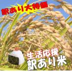 訳あり 新潟県産 中米 コシヒカリ 10kg 平成29年産 新米