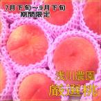 新潟産 朝採り 旬の 桃 3k 令和7年産 予約販売 7/25頃発送開始予定 到着指定不可