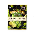 チョコスナック、チョコバー