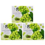 ショッピングシャインマスカット 信州長野県のお土産 お菓子 洋菓子 信州シャインマスカットプチフィナンシェ×3箱（送料込）