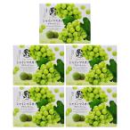  Shinshu Nagano префектура. . земля производство сладости кондитерские изделия Shinshu автомобиль in мускат маленький финансье ×5 коробка ( включая доставку )