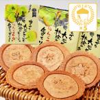 信州長野県のお土産林檎のお菓子りん...