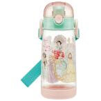 SKATER スケーター 水筒 500m