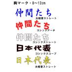 片胸用 ラバーマーク 日本字 スポーツラバーマーク アイロンでも圧着 8色展開