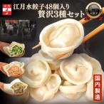 冷凍水餃子 贅沢48個セット 5分茹でるだけ ニラ24 エビ水餃子12 江月水餃子12 台湾水餃子Ko-Getsu 国産素材 手包み 駅ナカ販売 本格 惣菜