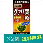 山本漢方製薬　シジュウムグァバ粒100% 280粒×2個　