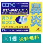 セピー鼻炎ソフトN24カプセル【指定第2類医薬品】
