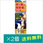 ビーエスバンDXローション 100ml×2個【第2類医薬品】 爆買