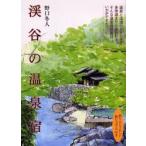 ... горячие источники . Noguchi зима человек / работа 