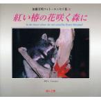 紅い椿の花咲く森に　四季の詩より　加藤芳明/著