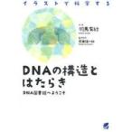 DNAの構造とはたらき　イラストで科学する　DNA図書館へようこそ　羽馬有紗/文・絵　前田竜一郎/監修協力
