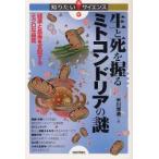  сырой ..... Mito темно синий дориа. загадка здоровье . длина .. главный распределение делать микро . контейнер . рис река . через / работа 