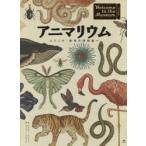 アニマリウム　ようこそ、動物の博物館へ　ジェニー・ブルーム/著　ケイティ・スコット/絵