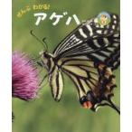 ぜんぶわかる!アゲハ　新開孝/著　蟻川謙太郎/監修