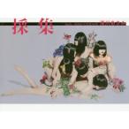 新品本/採集　清川あさみ/著