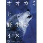 新品本/オオカミと野生のイヌ　近藤雄生/本文　菊水健史/監修　澤井聖一/写真解説