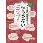 . цветок * цветочный горшок * декоративное растение .... нет [kotsu]!ga-tena- поэтому понимать небо . лен ../ работа 