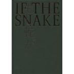  если .. Okayama искусство переменный ток 2019 Pierre *yuig/..*. кисть 