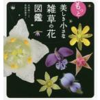 もっと美しき小さな雑草の花図鑑　多田多恵子/文　大作晃一/写真