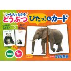 しゃしんでわかるどうぶつぴたっ!とカード　講談社こども教室