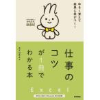 Excel работа. kotsu.1 шт. . понимать книга@AYURA/ работа 
