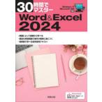 30 час . тормозные колодки Word & Excel2024 реальный . выпускать план разработка часть / сборник 