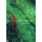 新品本/live　image　10th　Anniversary　Book
