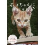 ネコちゃんに褒められる　かわいいニャンコがあなたを肯定してくれる!