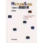 MATLAB/Scilab. понимание делать численное значение счет Sakura . металлический ./ работа 