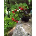 ma... мир . самый .... бонсай Yamamoto последовательность три / работа 