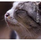 新品本/ちょっとネコぼけ　岩合光昭/写真・文