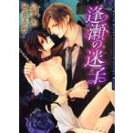 新品本/逢瀬の迷子　水戸泉/著　サマミヤアカザ/〔画〕