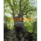 トチの木の1年　太田威/写真・文