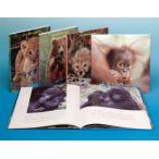 どうぶつの赤ちゃんとおかあさん　全5巻