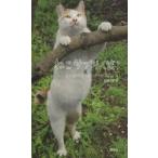 新品本/ねこサプリ〈笑〉　人によく効くNEKO−PHOTO202　LOVE　CAT　37/著