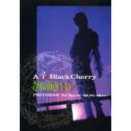 Acid Black Cherry Project Shangri-la PHOTOBOOK 2nd Season обычная версия Hokuriku * область Koshin * Tokai tour