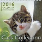 新品本/カレンダー　’16　CatsCollec