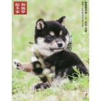  японский стиль общий книга@ дом 2 10 один поколения бобы . официальный фото книжка лес внизу ../ фотосъемка телевизор Osaka /..