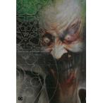 バットマン:アーカム・アサイラム　グラント・モリソン/作　デイブ・マッキーン/画　高木亮/〔ほか〕訳