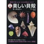 美しい貝殻　オールカラー　海辺で見つかる「小さな宝もの」ガイド　奥谷喬司/監修