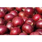  шар лук порей красный шар лук порей Hokkaido производство 10kg early красный M/L/L большой sa стул и больше красный лук красный шар лук-батун .. лук репчатый фиолетовый лук репчатый 