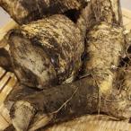  гора васаби Hokkaido производство .. гора васаби запад васаби 1kg шланг редис re отверстие 
