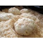  100 . корень ... Hokkaido производство превосходящий товар 5kg M размер и больше стандартный товар .. корень Tokachi . вид производство прекрасный . Memuro 100 . корень 