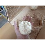 yu.. Hokkaido производство превосходящий товар 5kg ML размер и больше .. корень стандартный товар .. корень Tokachi овощи . вид производство прекрасный . Memuro 100 . корень популярный рекомендация подарок 