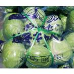  капуста Hokkaido производство 10kg и больше 3 шар ~12 шар ввод . зима .... снег no внизу мир холод .. гурман овощи 