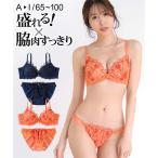 ブラショーツセット (B85/LL-I95/4L) ニッセン 脇高 フラワーレースソフトワイヤー ブラショーツセット 女性 下着 レディースブラジャー ショーツ セット 脇肉