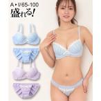 ブラ&ショーツ セット (B85/LL-I95/4L) 大きいサイズ ニッセン ロマンティックデザイン ブラショーツセット 女性 下着 レディース ブラジャー ショーツ セット
