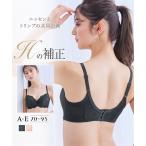 ショッピングトリンプ ブラジャー (A70-E95) 大きいサイズ ニッセン 脇 背中 高フィットブラジャー (Hの補正 トリンプ ) 女性 下着 レディース ブラジャー 脇高 補正 可愛い 脇高ブラ