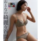 ブラショーツセット ニッセン ヌーディカラー レース ブラジャー ショーツセット 女性 下着 レディース 盛り 小胸 谷間 セクシー プチプラ ブラ&ショーツ